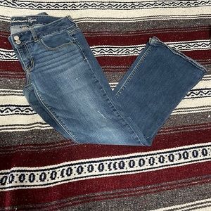 Artist American Eagle Flare jeans